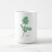 Celery Leaf Kaffeetasse (Mittel)