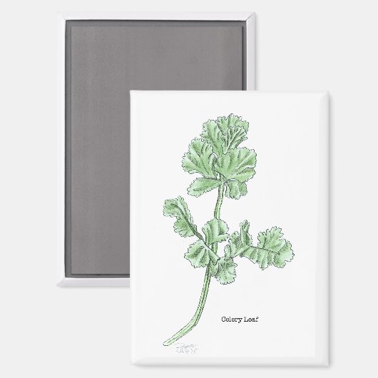 Celery Leaf Magnet (Vorderseite/Rückseite)