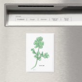 Celery Leaf Magnet (In Situ (Geschirrspüler))