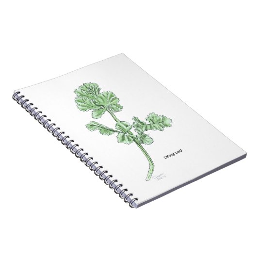 Celery Leaf Notizblock (Rechte Seite)