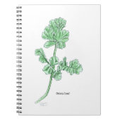 Celery Leaf Notizblock (Vorderseite)