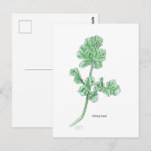 Celery Leaf Postkarte (Vorne/Hinten)