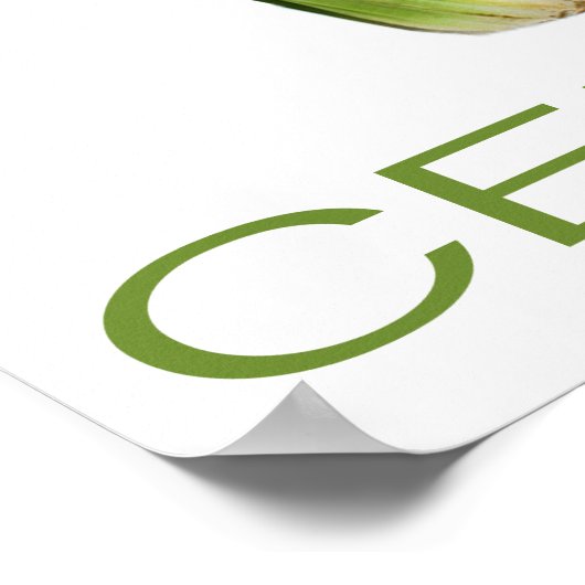 Celery Poster (Ecke)