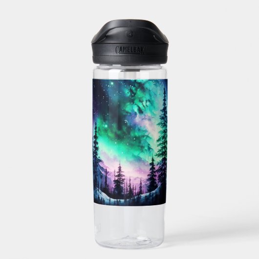 Celestial Aurora Borealis Northern Lights Vivid Trinkflasche (Rückseite)