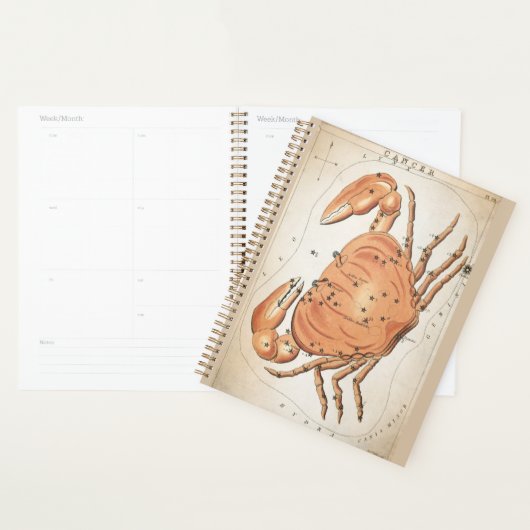Celestial Cancer Zodiac Planer (Anzeige)