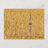 Celestial Harvest Postkarte (Rückseite)