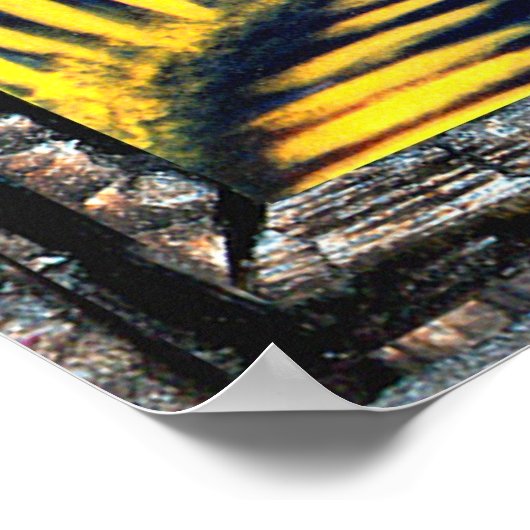 Celestial Light Poster (Ecke)