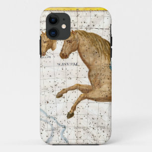 Celestial Map Pegasus iPhone 11 Hülle