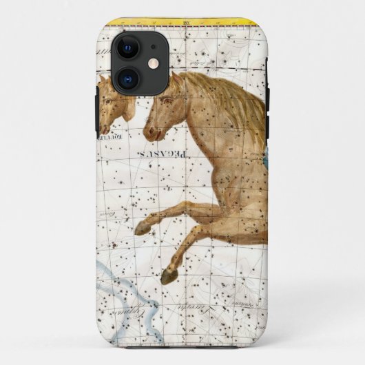 Celestial Map Pegasus Case-Mate iPhone Hülle (Rückseite)