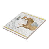 Celestial Map Pegasus Fliese (Seite)