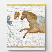 Celestial Map Pegasus Fotoplatte (Vorderseite)