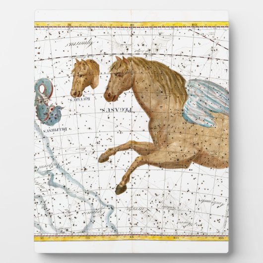 Celestial Map Pegasus Fotoplatte (Vorderseite)