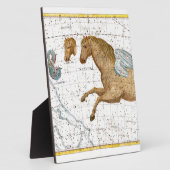 Celestial Map Pegasus Fotoplatte (Seite)