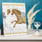 Celestial Map Pegasus Fotoplatte (Seite)