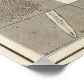 Celestial Map Poster (Ecke)