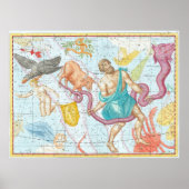 Celestial Map von 1801 Poster (Vorne)