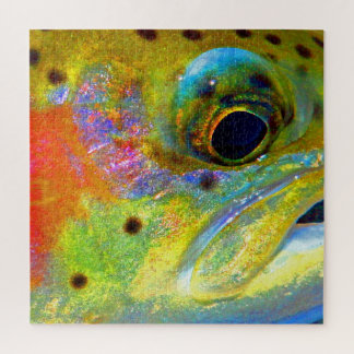 Celestial Rainbow Puzzle