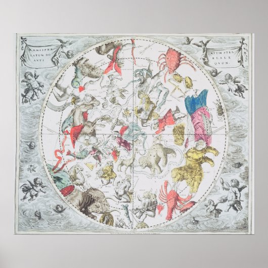Celestial Show the Signs of the Zodiac Poster (Vorne)