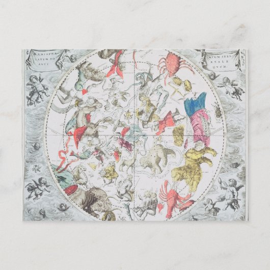 Celestial Show the Signs of the Zodiac Postkarte (Vorderseite)