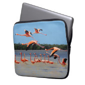 Celestun Biosphären-Reserve Laptopschutzhülle (Vorderseite Links)