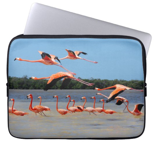 Celestun Biosphären-Reserve Laptopschutzhülle (Vorderseite)