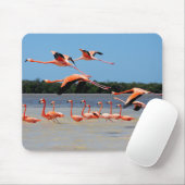 Celestun Biosphären-Reserve Mousepad (Mit Mouse)