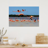 Celestun Biosphärenreservat Poster (Küche)