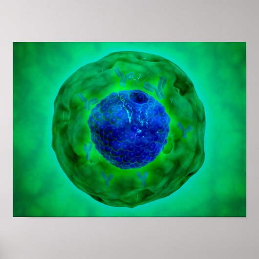 Cell Nucleus With Chromosome 1 Poster (Vorne)