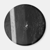 Cellar Spider Magnet (Vorne)