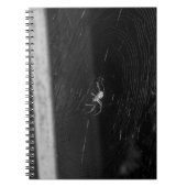 Cellar Spider Notizblock (Vorderseite)