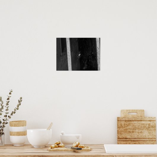 Cellar Spider Poster (Küche)