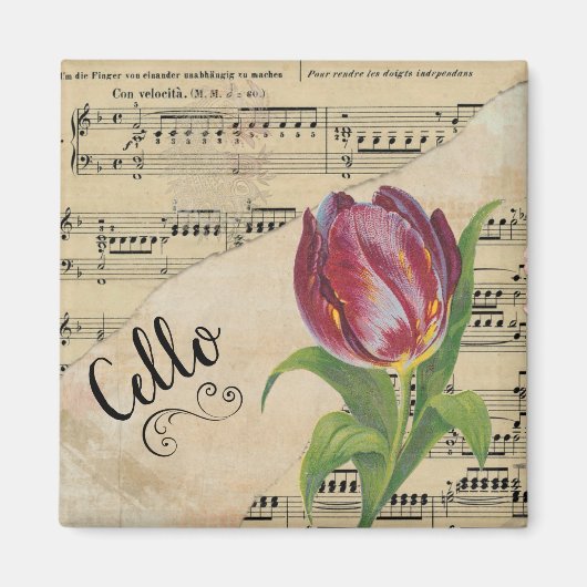 Cello Elegant Vintages Novival Jazz Magnet (Vorne)