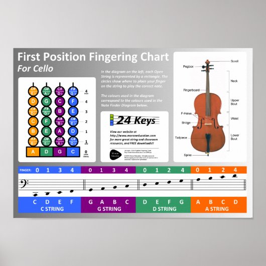 Cello Fingering Chart Poster (Vorne)