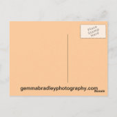 Cello Post Card Postkarte (Rückseite)