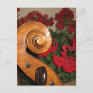 Cello Scroll Blume Postkarte