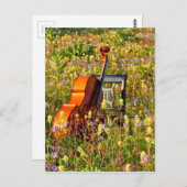 Cello with chair in a field of wildflowers postkarte (Vorne/Hinten)