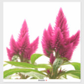 Celosia argentea aufkleber (Blatt)