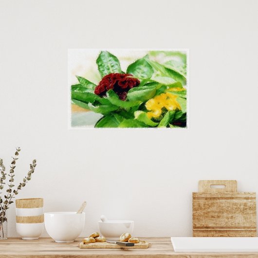 Celosia/Cockscomb Poster (Küche)