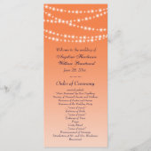 Celosia Orange Twinkle Lights Hochzeitsprogramm Programm (Vorderseite)