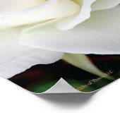 Celtic Blessing, 14" x 11" - Semi-Gloss Poster (Ecke)