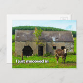 Celtic Ireland I gerade in Kuh-Postkarte bewegt Postkarte (Vorne/Hinten)