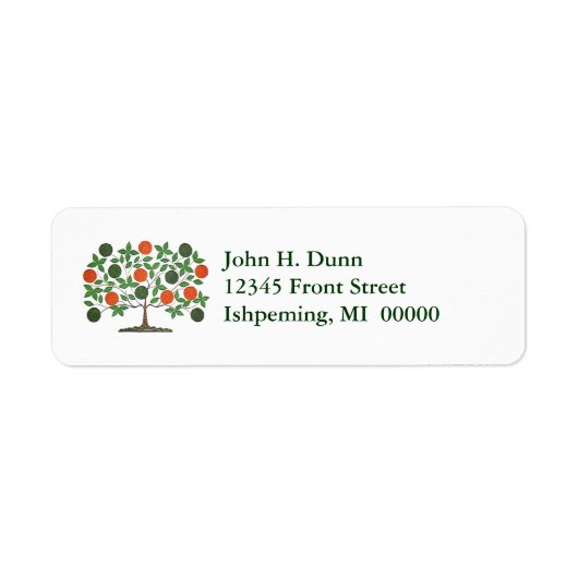 Celtic Irish Family Tree Green & Orange Labels (Vorne)