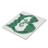 Celtic Knot Decorative Hauptstadt B Fliese (Seite)