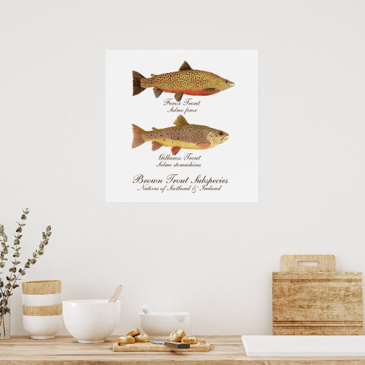 Celtic Trout Art Poster (Küche)