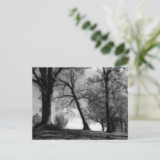 Cemscape Postkarte (Stehend Vorderseite)