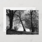 Cemscape Postkarte (Vorne/Hinten)