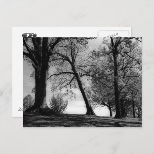 Cemscape Postkarte (Vorne/Hinten)