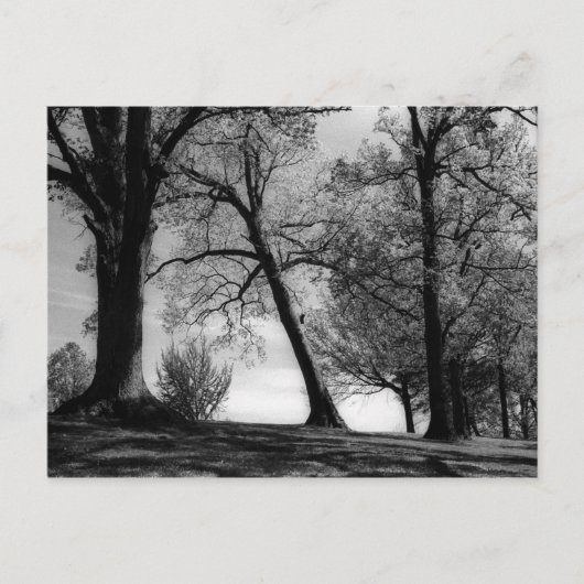 Cemscape Postkarte (Vorderseite)