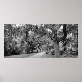 Cemtery, Savannah Ga, MD Fotografie Poster