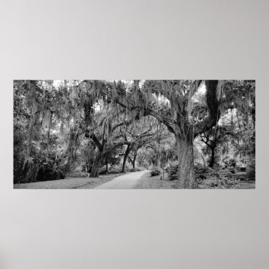 Cemtery, Savannah Ga, MD Fotografie Poster (Vorne)
